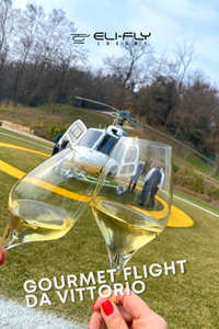 DaVittorio + Ghiacciaio Adamello volo privato (con sosta pranzo) | 60 min